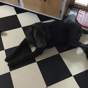 Meet your Posher, Kathy